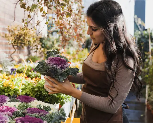 Comercio Varejista de Plantas e Flores Naturais