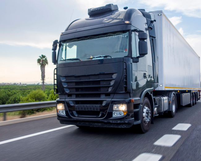 TRANSPORTES  - JONAS