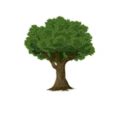 ROTA SERVIÇOS FLORESTAIS