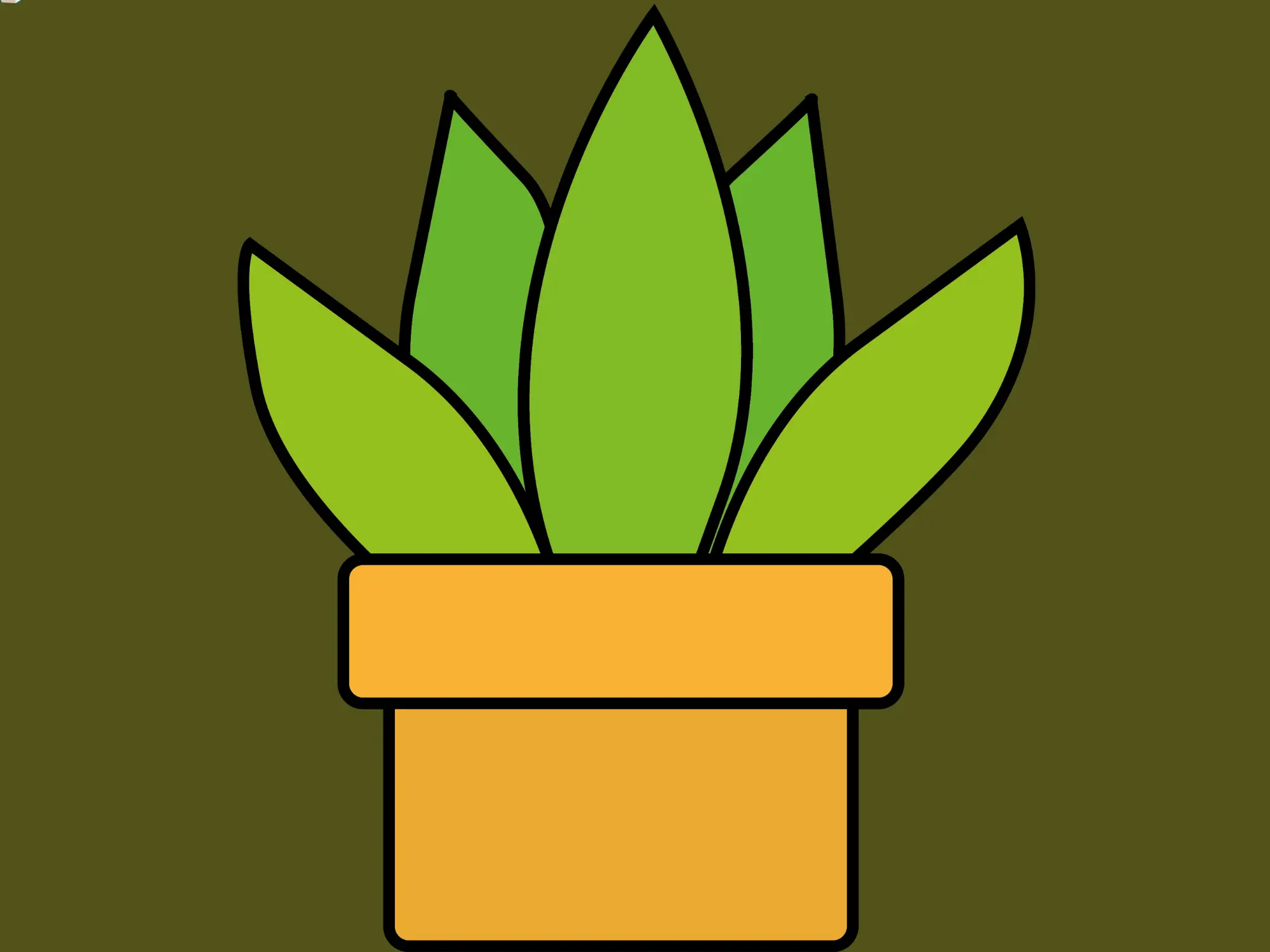 PLANTAS MONDINI