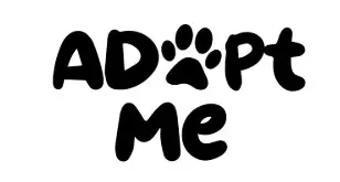 ADOTE UM GATO RESGATADO