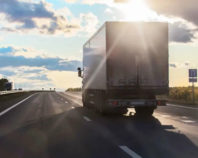 TRANSPORTES - ELZEMAR L.