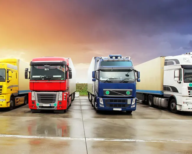 SJF Transporte