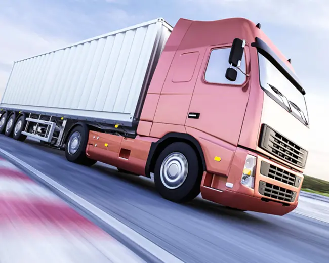 TRANSPORTES  - FLAVIO STORL