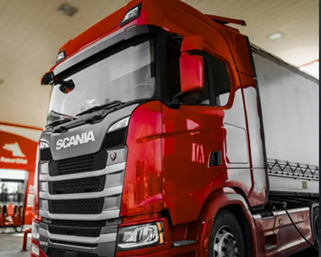 TRANSPORTES - FELIPE RINO