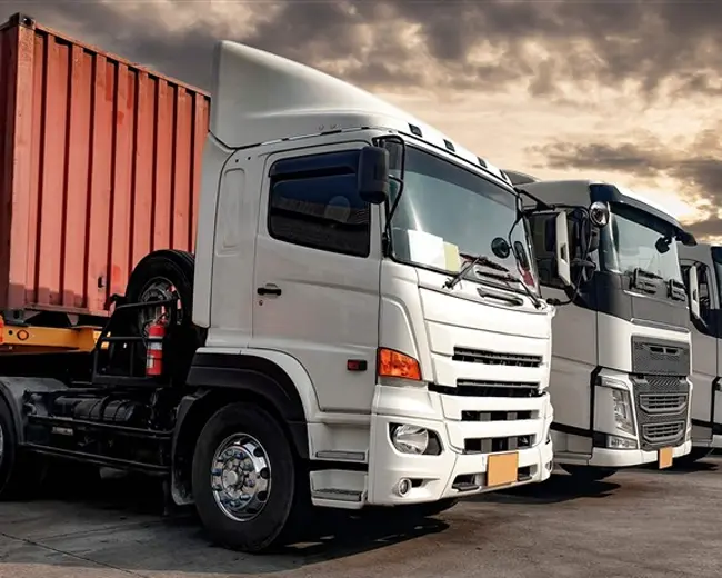 M.M TRANSPORTES