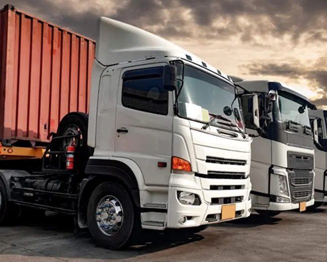 TRANSPORTES ALFEU