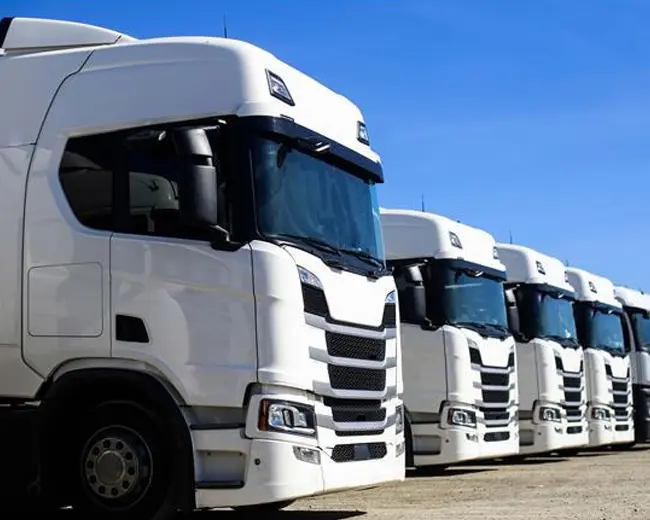 TRANSPORTES - TR FABRICIO