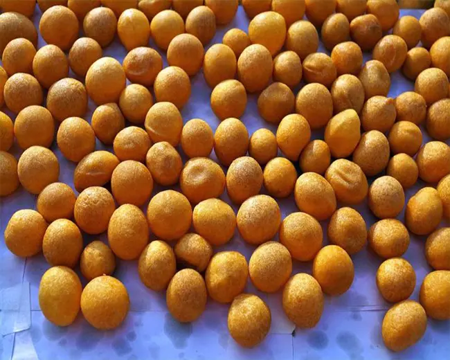 R&C SALGADOS CONGELADOS