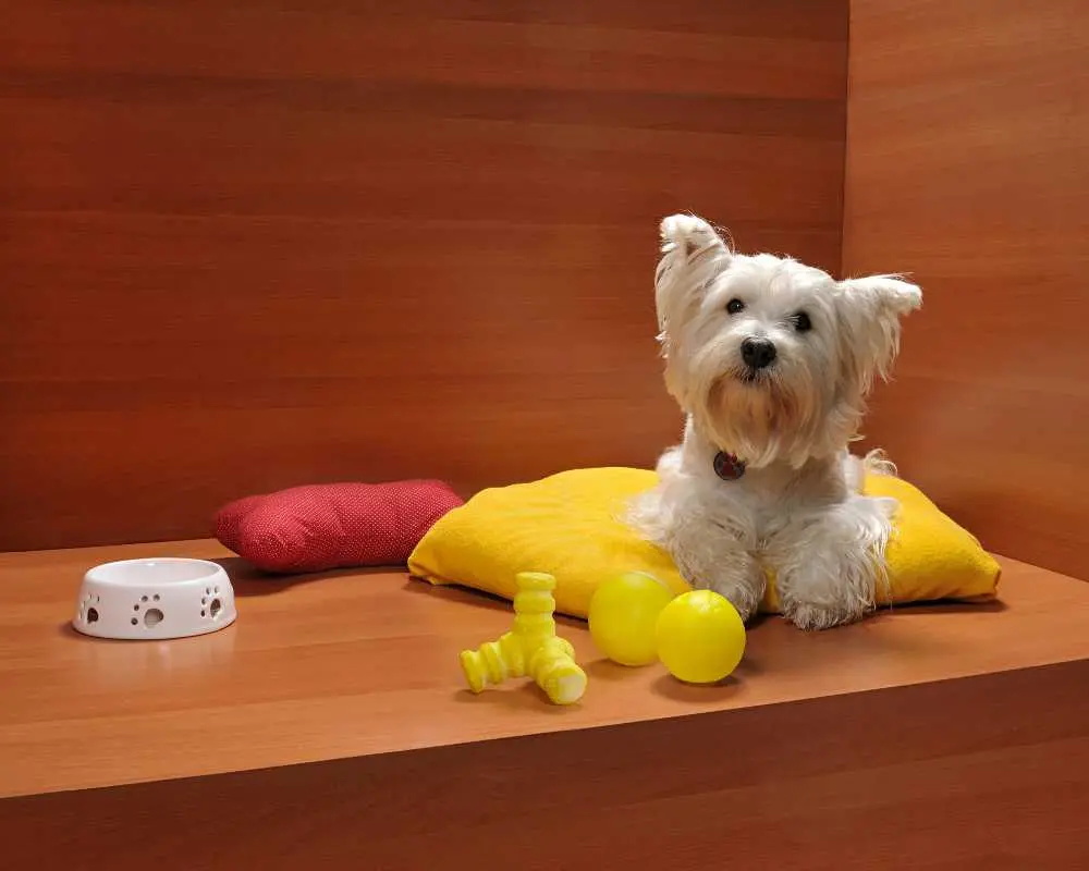 PET SHOP - HAPPY PETZ