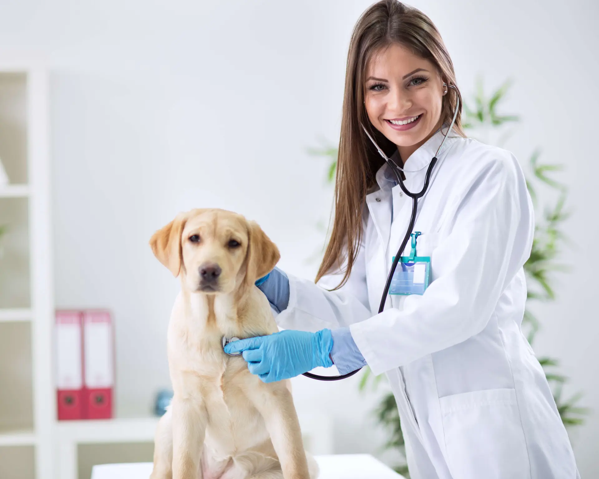 DR. GEORGIA MATTOS VETERINÁRIA