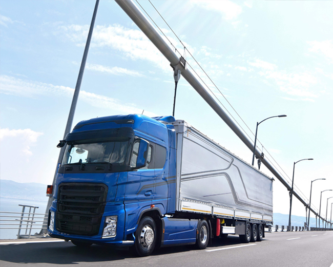 TRANSPORTES  - CAROLINE RITA