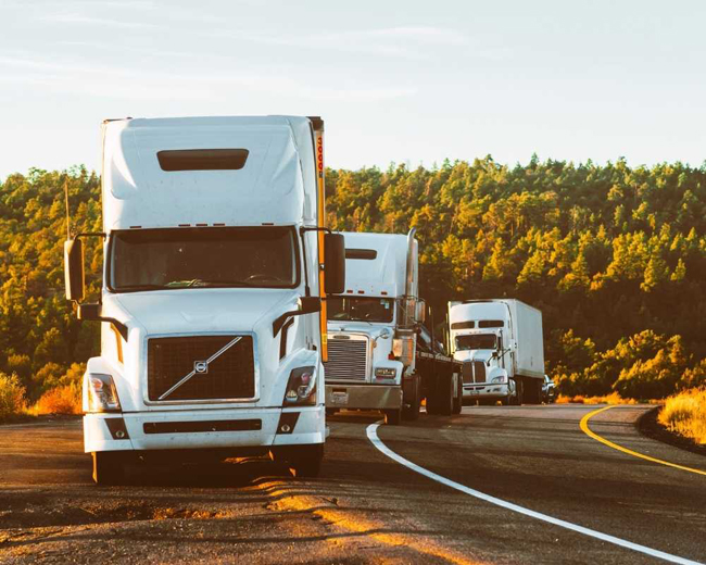 TRANSPORTES - SANDRO GONÇALVES - foto 2