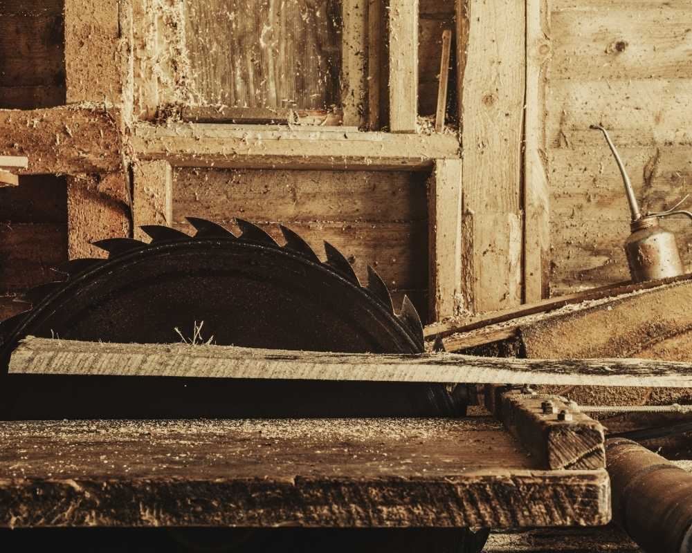 SERRARIA ROSSINI - foto 1