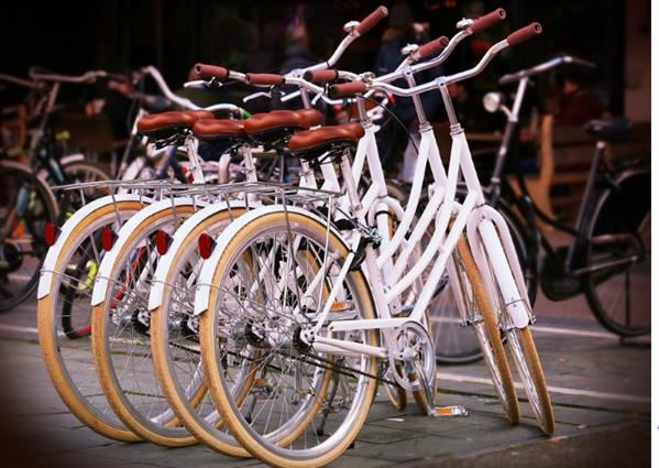 BIKE SHOP GIL - foto 1