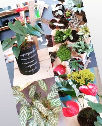GARAGE DAS PLANTAS