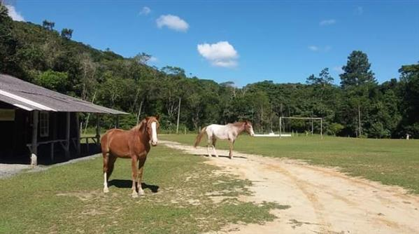 RANCHO DOS MATUTOS - foto 6