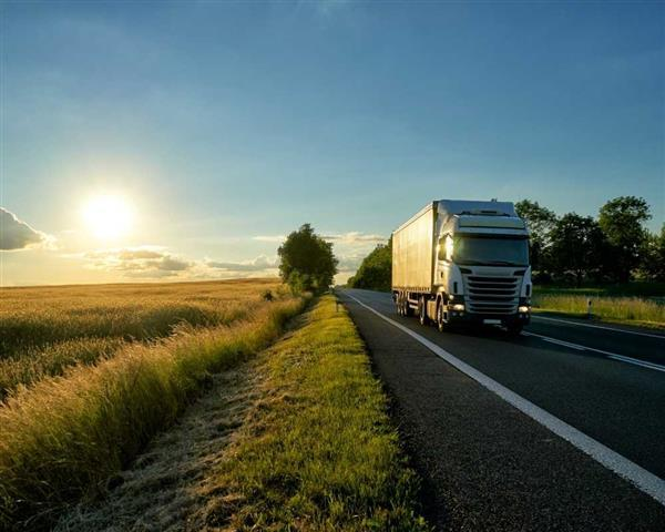 TRANSPORTES - PEDRO SILVA  - foto 5