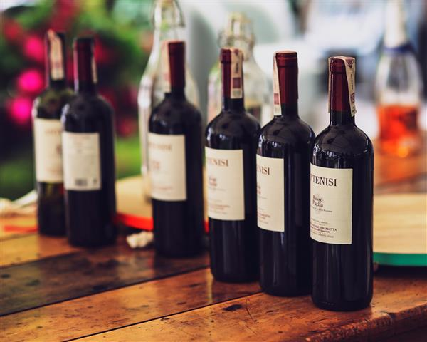 TCHE VINHOS - foto 1