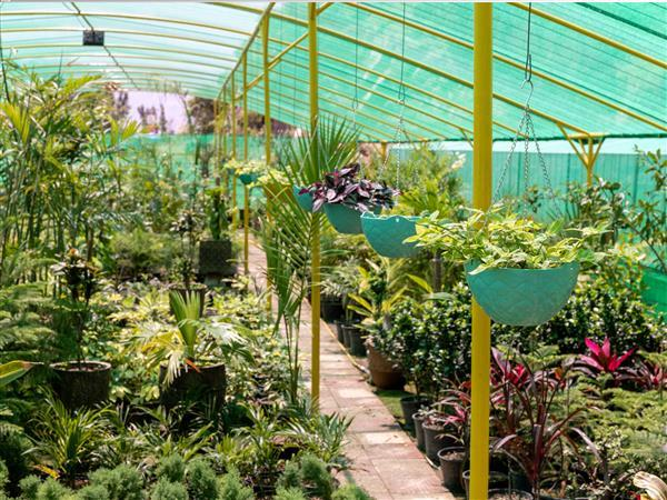 PLANTAS MONDINI - foto 1