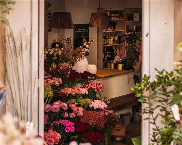 CRIANDO MEMÓRIAS FLORICULTURA - foto 1