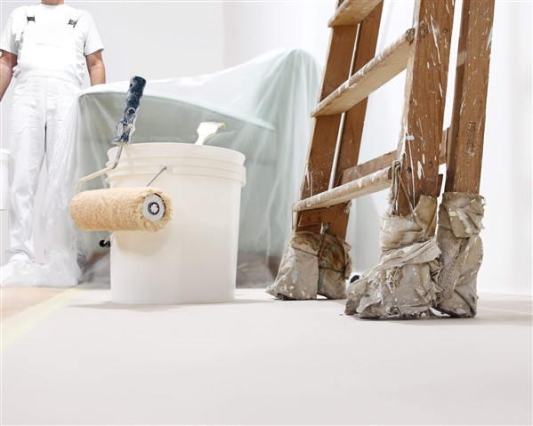 CAMARGO PINTURAS E SERVIÇOS - foto 2