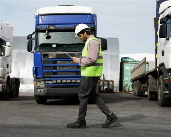 TRANSPORTES  - FLAVIO STORL - foto 5