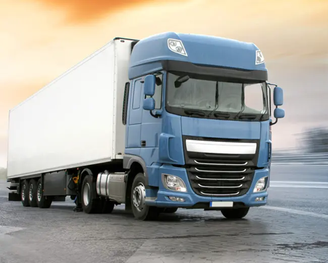 TRANSPORTE - VIVIANE FLORIANO - foto 2