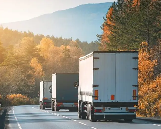 TRANSPORTES - GABRIELI L - foto 1