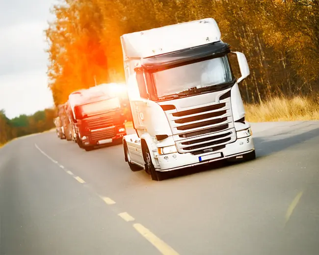 TRANSPORTES - AMANDA SUELEN  - foto 4