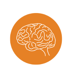 FB SERVIÇOS E SAÚDE - Serviços Tomografia, Atividade Enfermagem, Psicologia em Joinville/SC