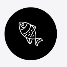DIRLUI PESCADOR - Serviços Domesticos em Concórdia/SC