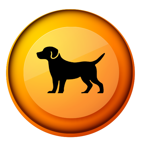 PET SHOP - AMIGO FIEL - Pet Shop em Videira/SC